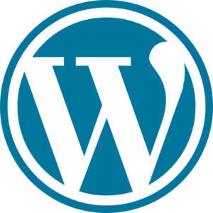 WordPress Theme